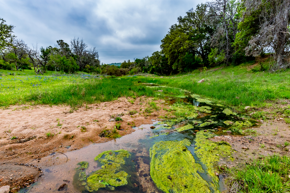 Spring Creek is one of the best places to stay in Texas Hill Country.