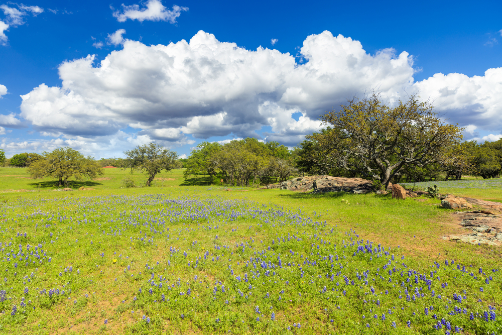 The countryside is one of the best places to stay in Texas Hill Country.