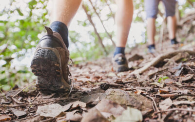 The 5 Best Spots for Hiking in Texas Hill Country