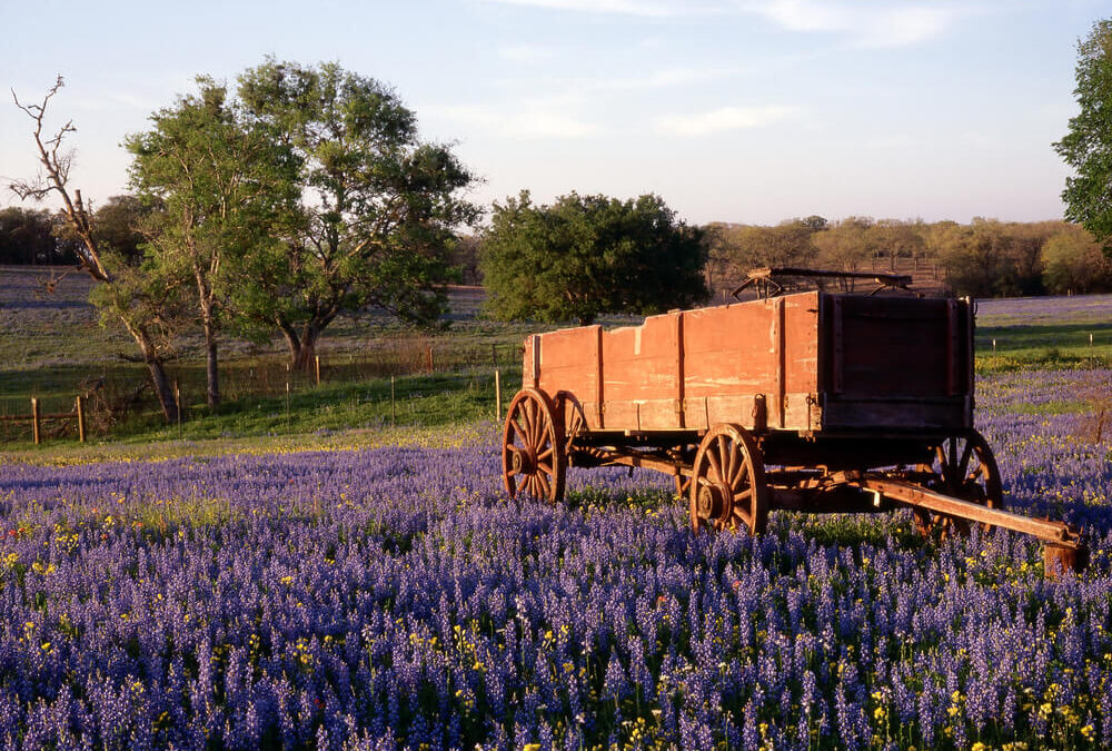 The 6 Best Things To Do in Hill Country, Texas