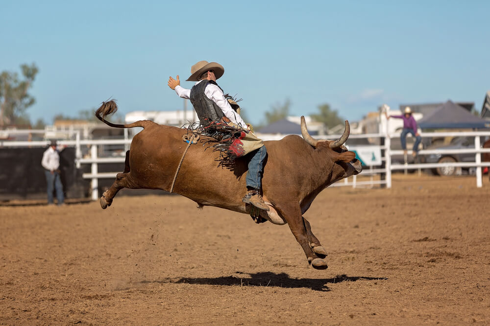 Rodeos are some of the best things to do in Hill Country Texas.