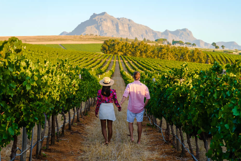 Visiting a vineyard is one of the most romantic things to do in Hill Country Texas.